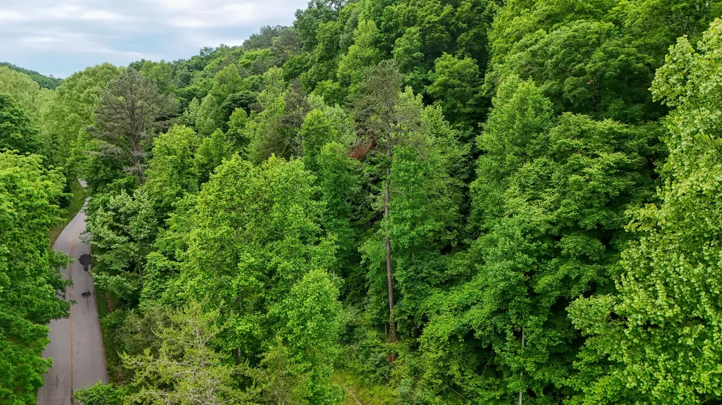 8295 State Highway 1003 Somerset KY 42501