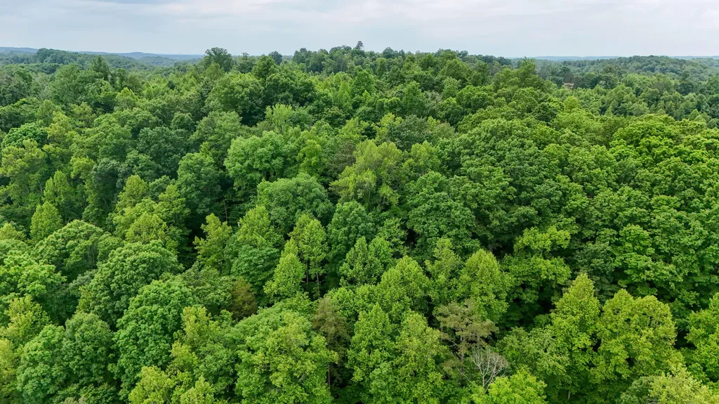 8295 State Highway 1003 Somerset KY 42501