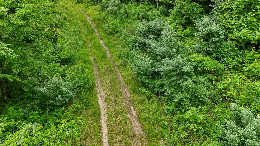 8295 State Highway 1003 Somerset KY 42501