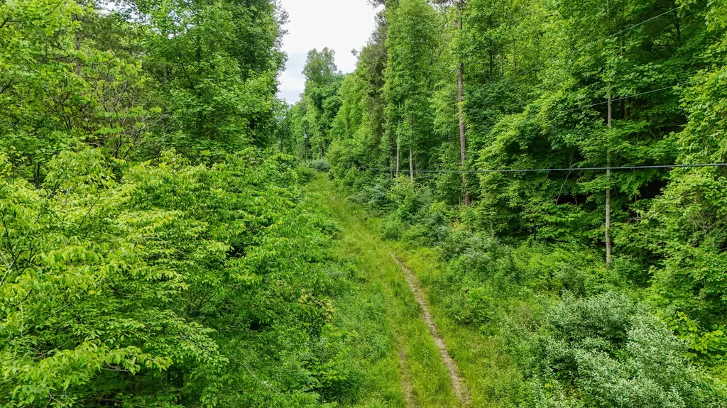 8295 State Highway 1003 Somerset KY 42501