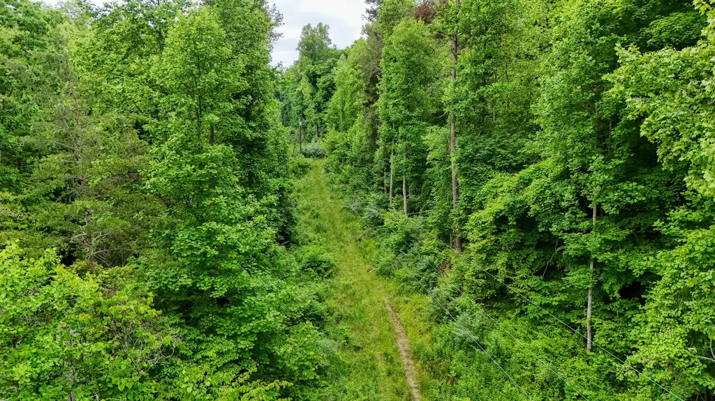 8295 State Highway 1003 Somerset KY 42501