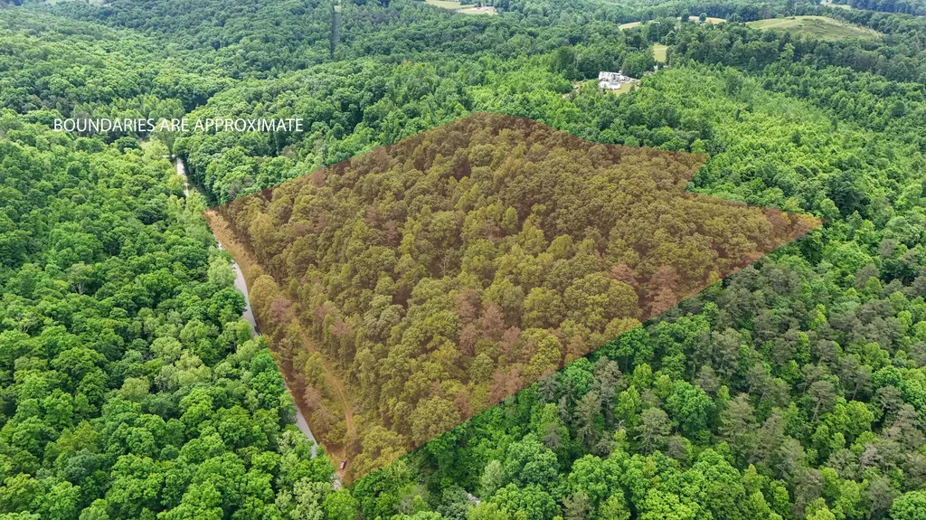 8295 State Highway 1003 Somerset KY 42501