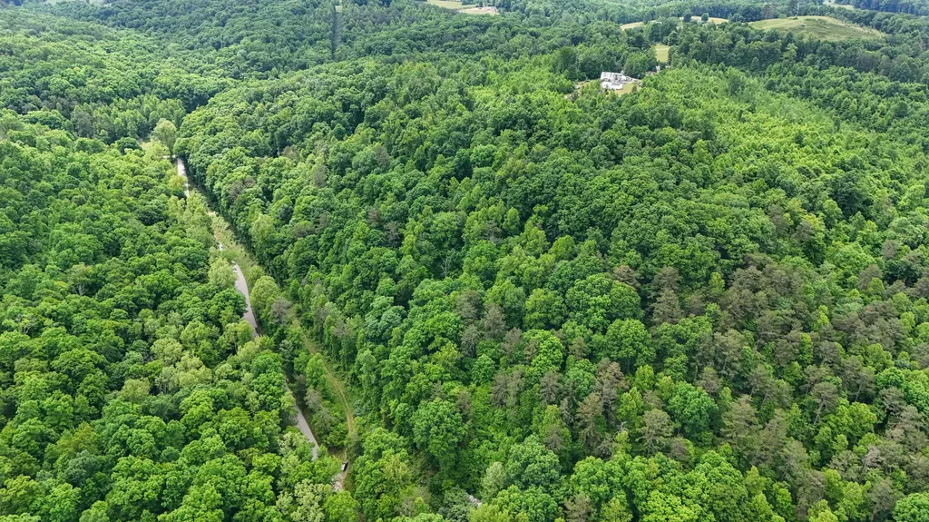 8295 State Highway 1003 Somerset KY 42501