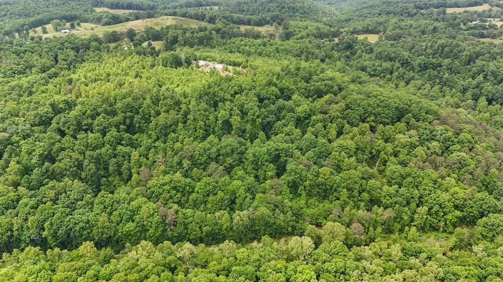 8295 State Highway 1003 Somerset KY 42501