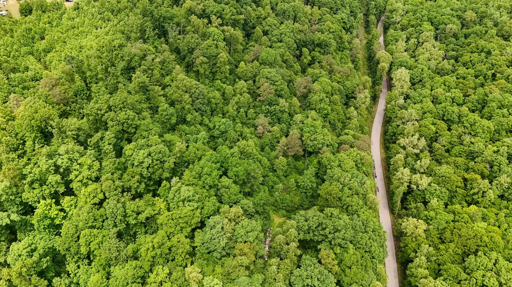 8295 State Highway 1003 Somerset KY 42501