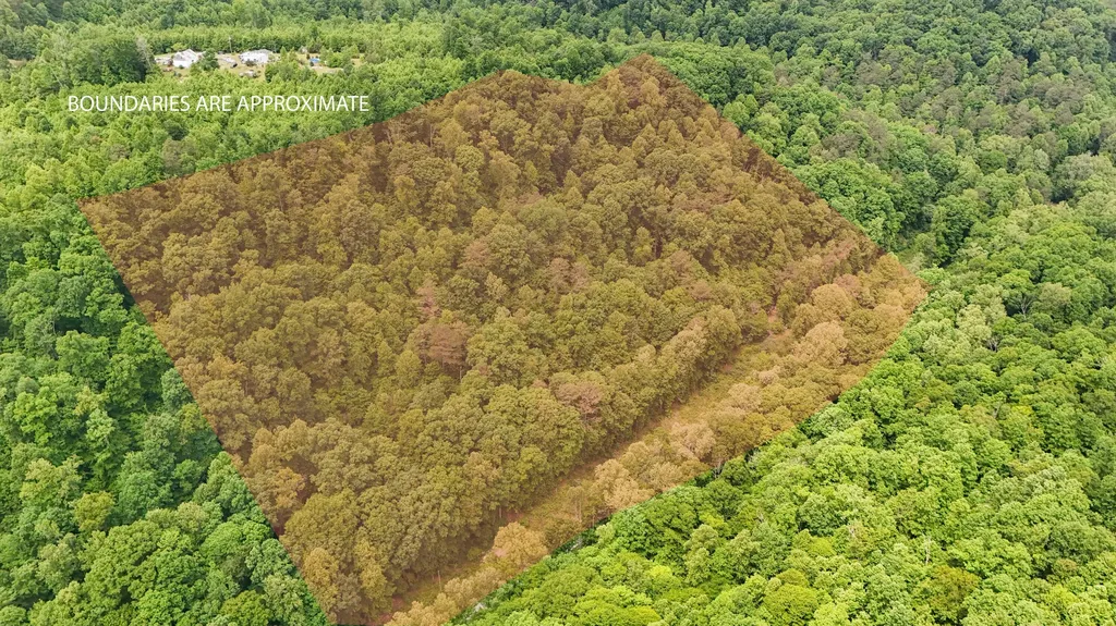 8295 State Highway 1003 Somerset KY 42501