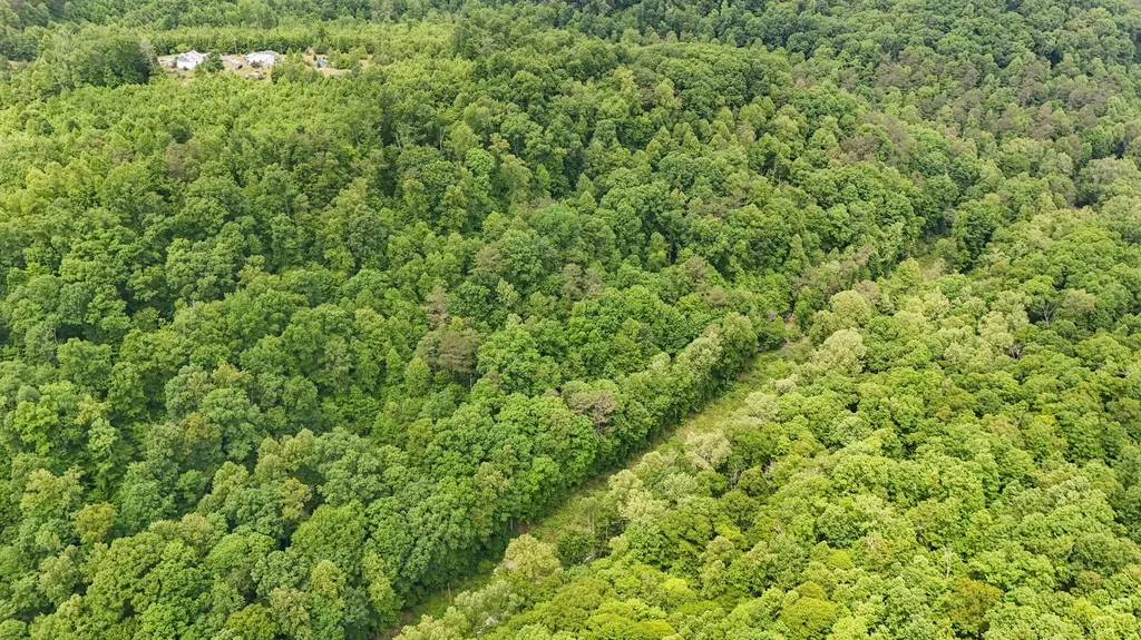 8295 State Highway 1003 Somerset KY 42501