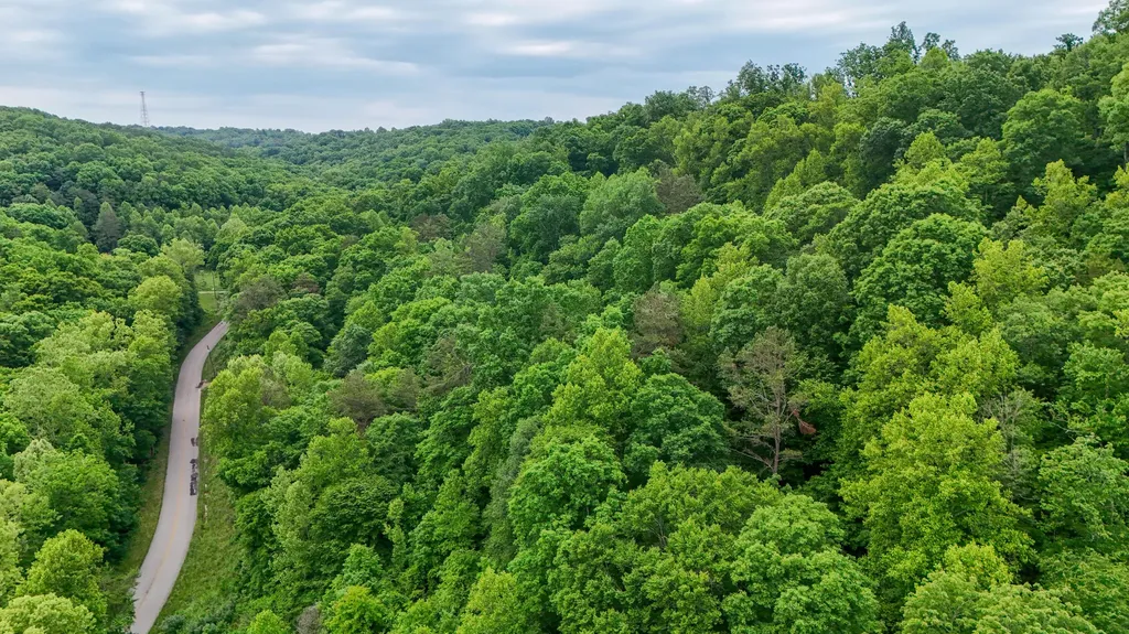 8295 State Highway 1003 Somerset KY 42501