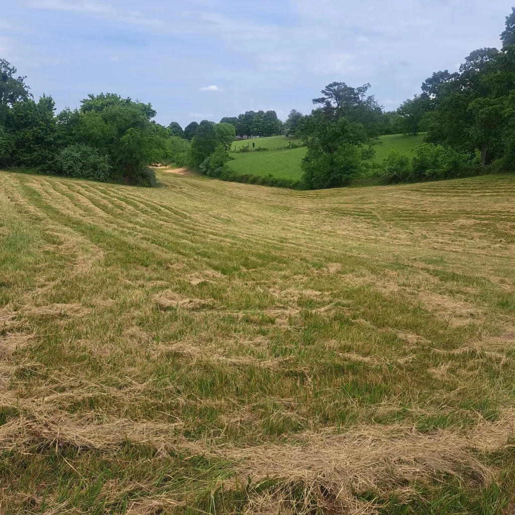 9999 Mcgill Wyan Road London KY 40744