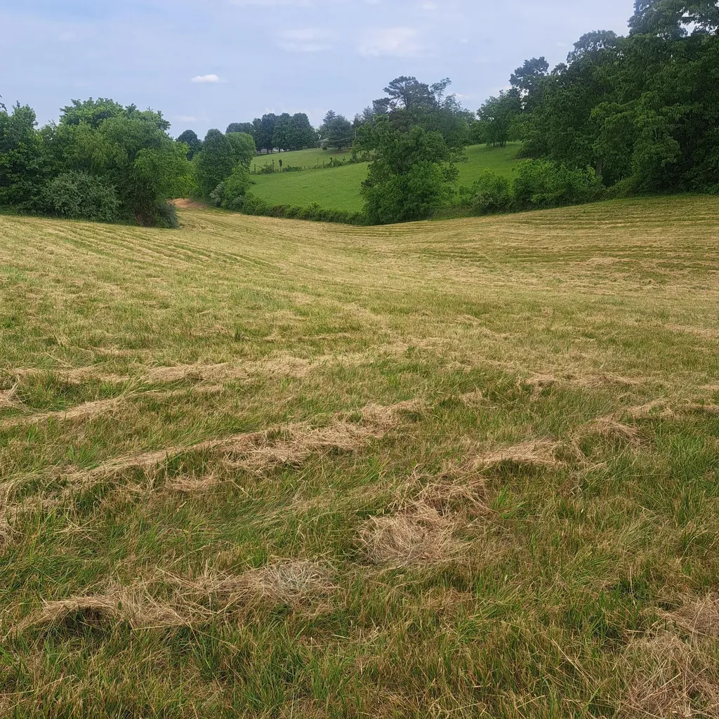 9999 Mcgill Wyan Road London KY 40744