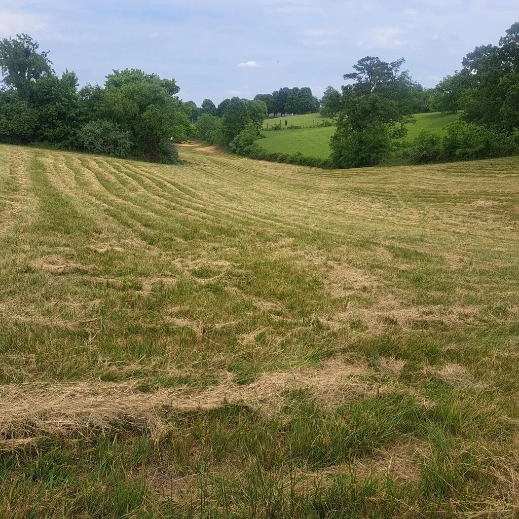 9999 Mcgill Wyan Road London KY 40744