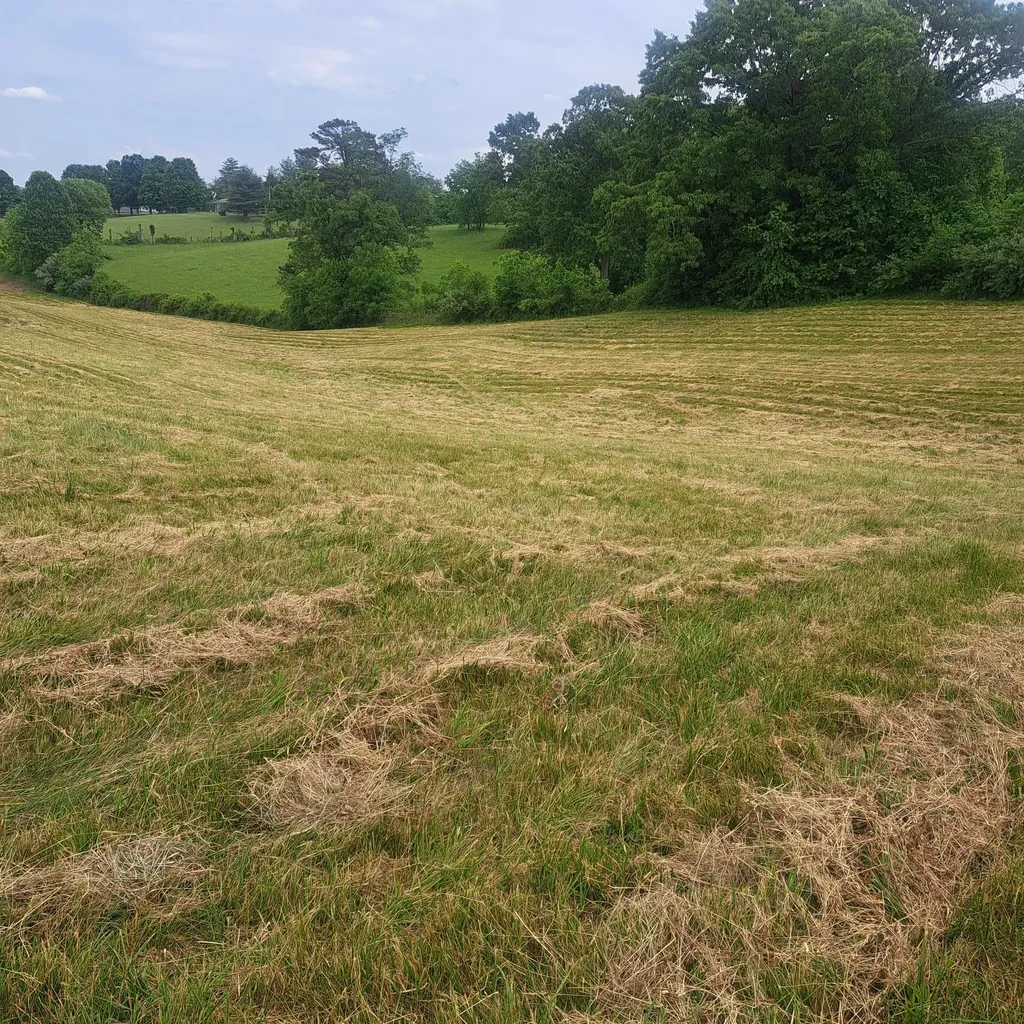 9999 Mcgill Wyan Road London KY 40744