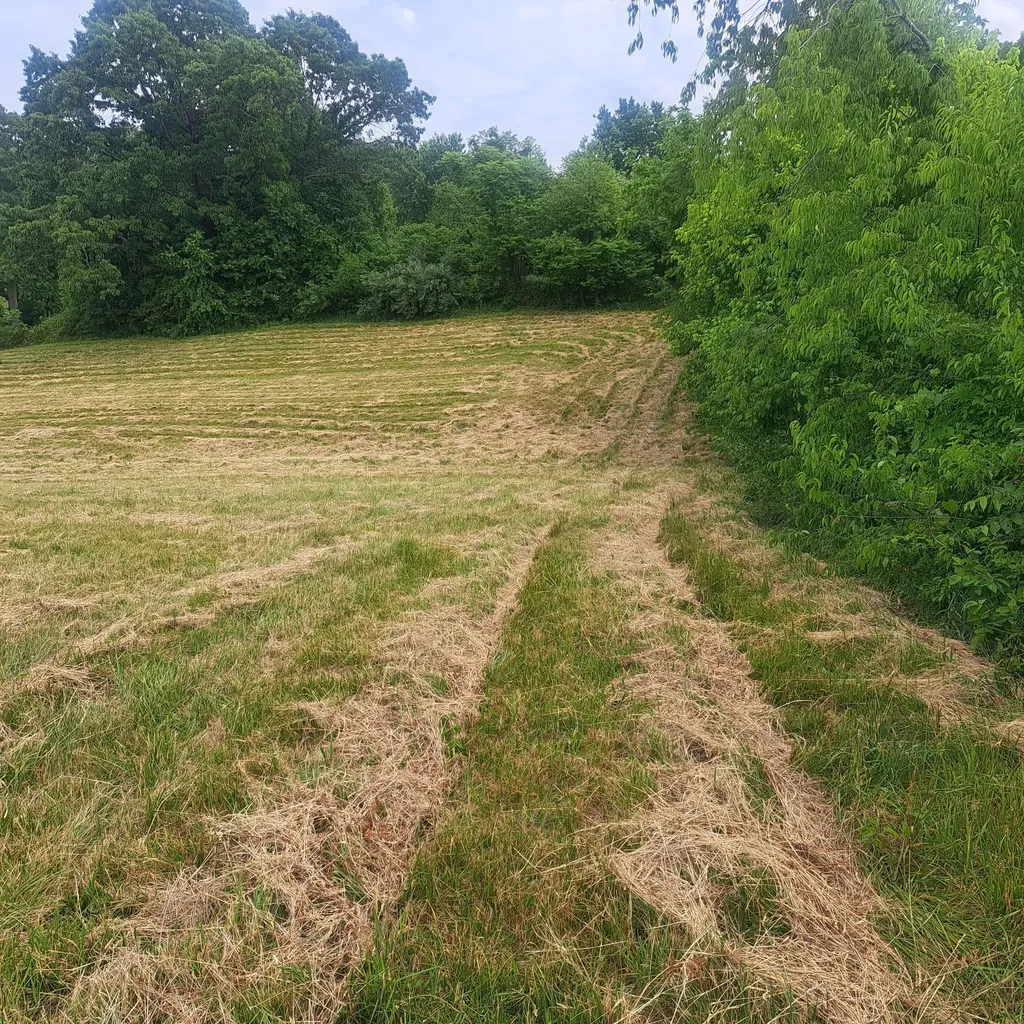 9999 Mcgill Wyan Road London KY 40744