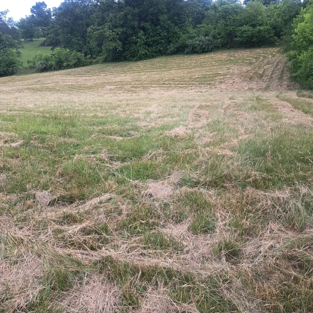 9999 Mcgill Wyan Road London KY 40744