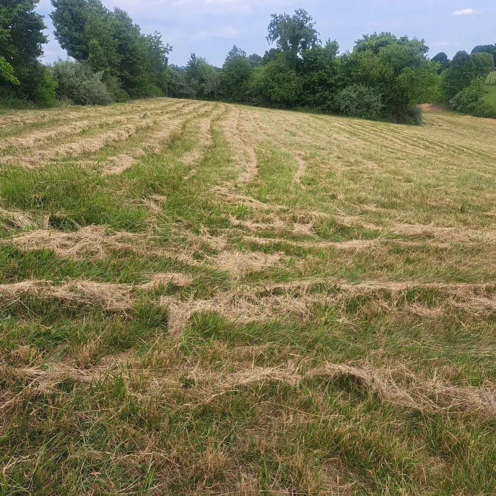 9999 Mcgill Wyan Road London KY 40744