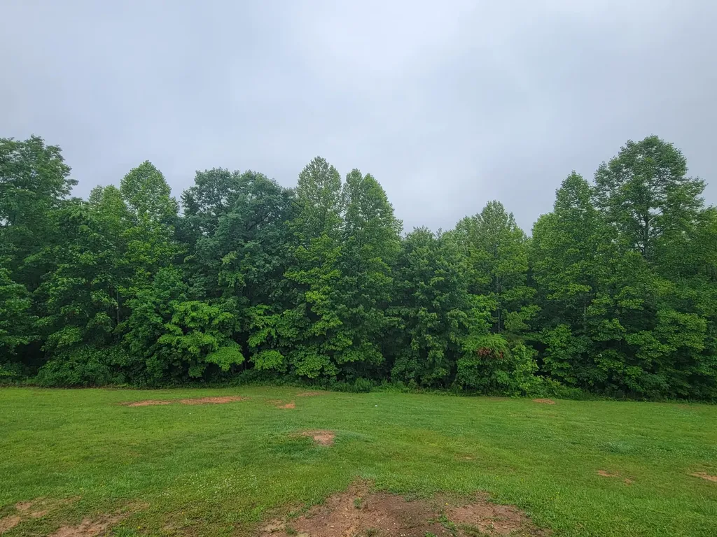 289 Halls Ridge Road Wellington KY 40387