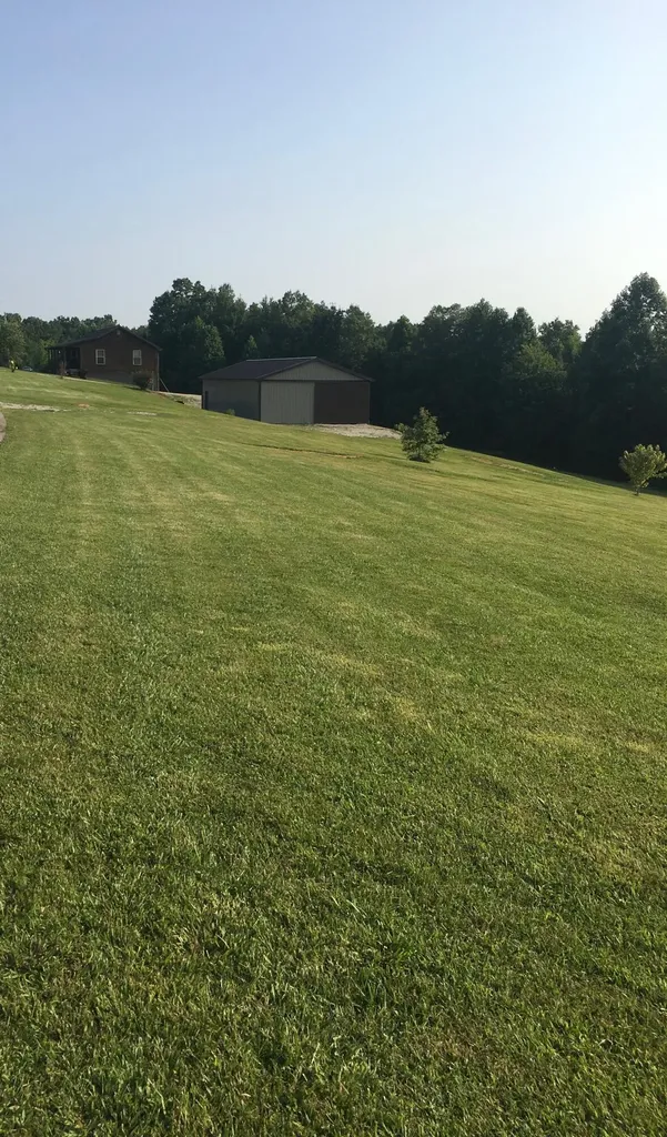 289 Halls Ridge Road Wellington KY 40387