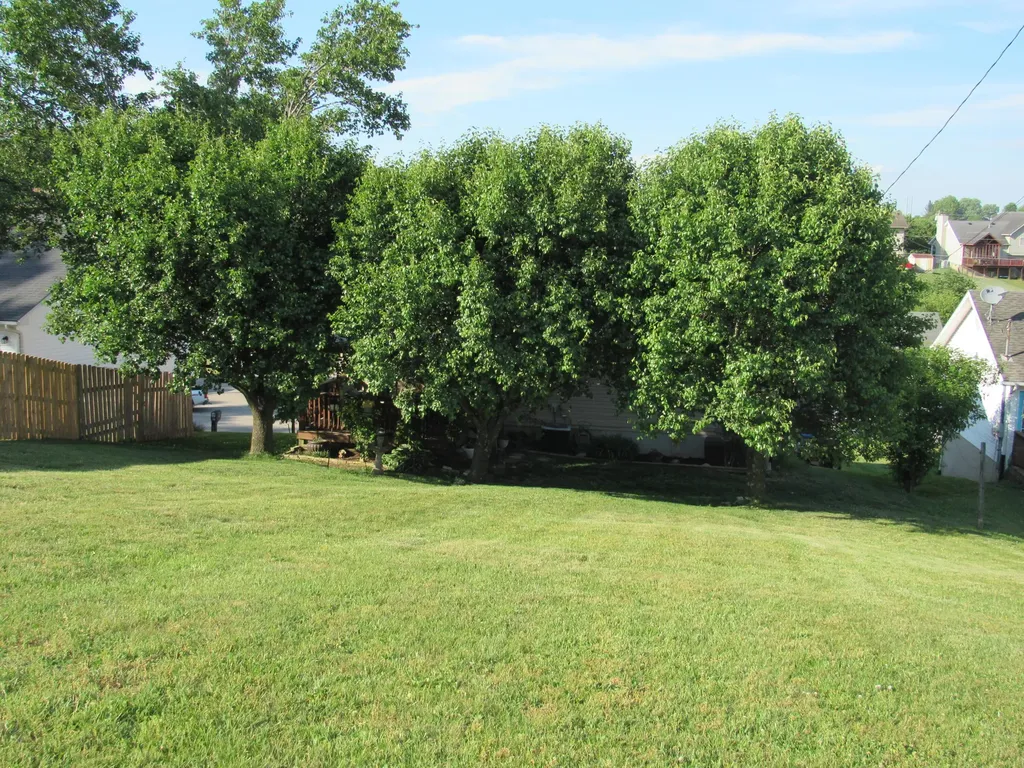 311 Geronimo Court Winchester KY 40391