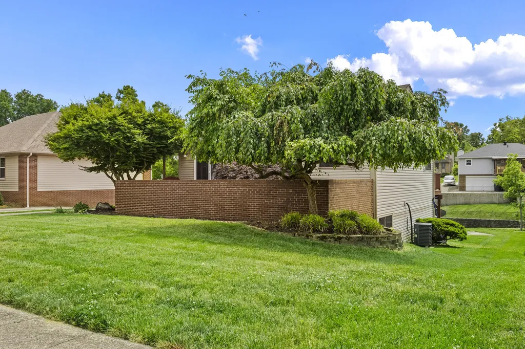 3780 Dicksonia Drive Lexington KY 40517