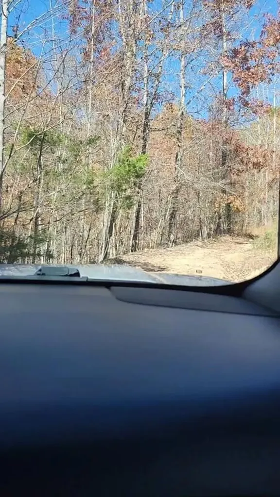 1022 Lime Plant Hollow Road Mt Vernon KY 40456