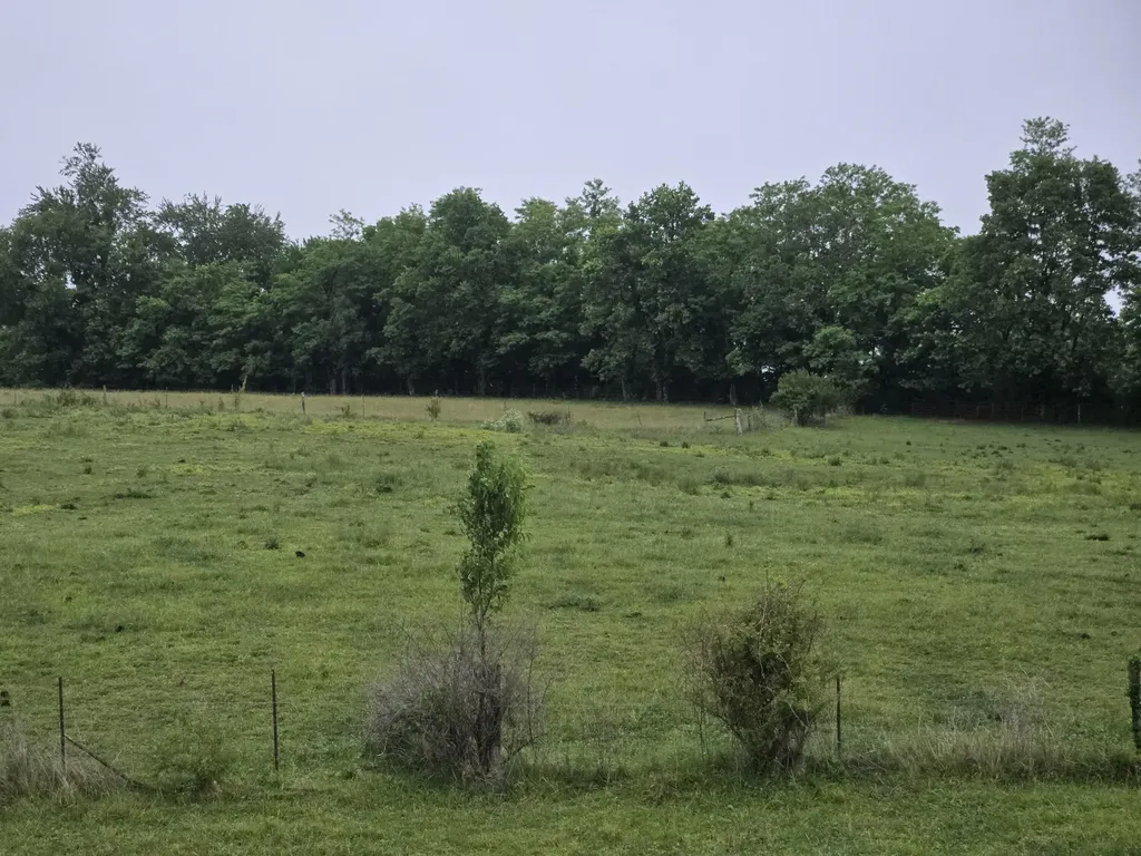 4430 State Highway 1194 Stanford KY 40484