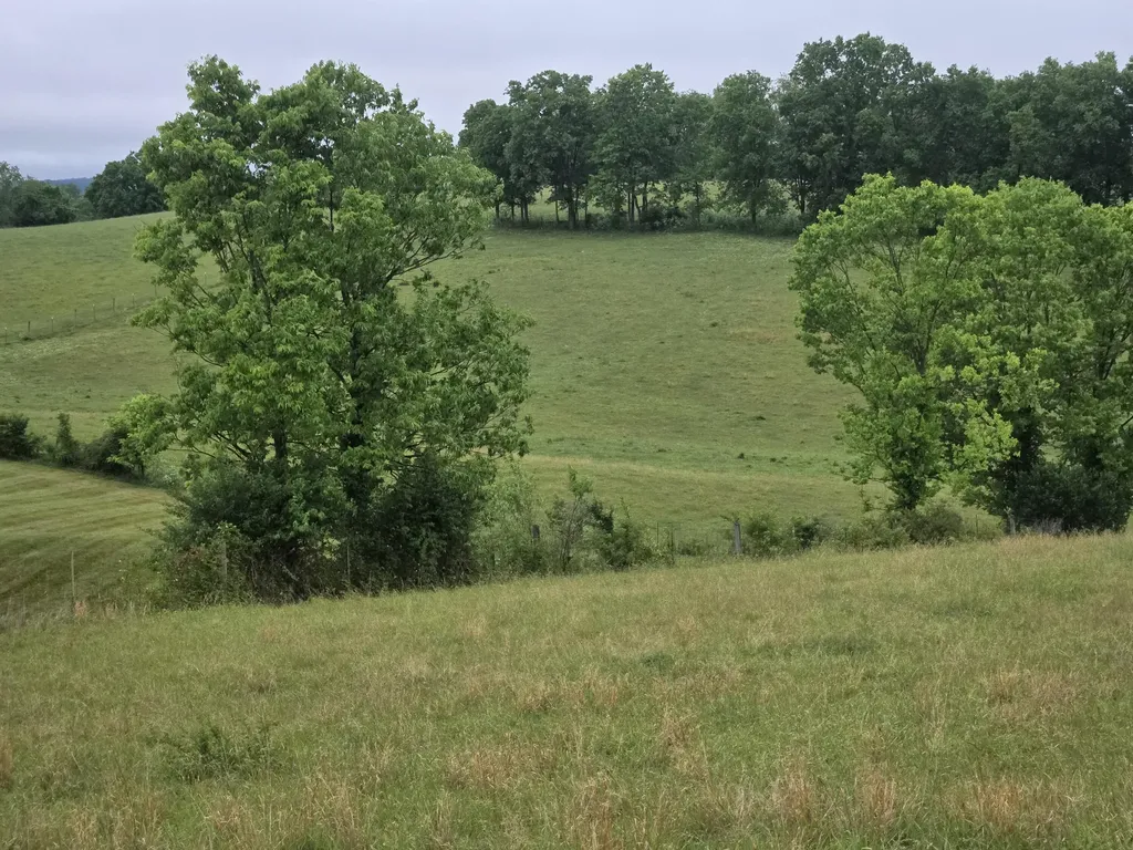 4430 State Highway 1194 Stanford KY 40484