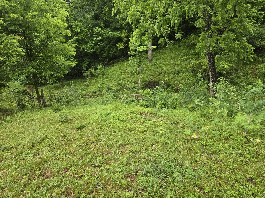 4430 State Highway 1194 Stanford KY 40484