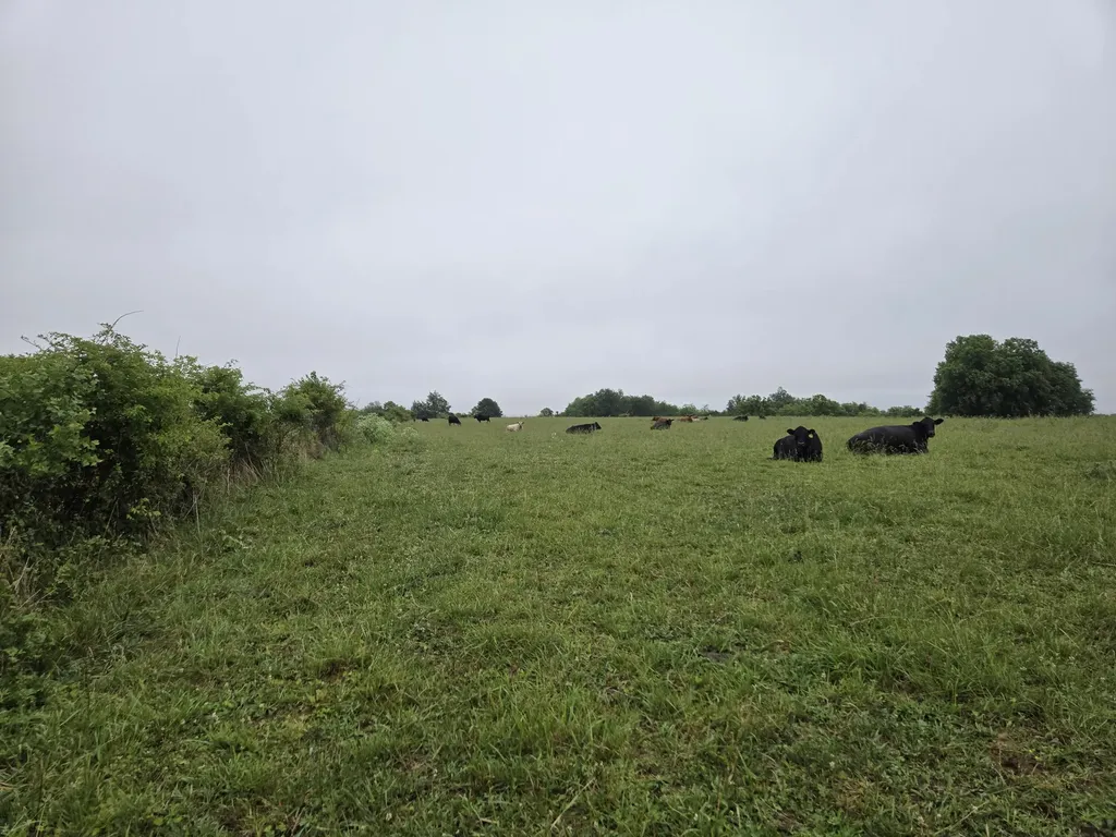 4430 State Highway 1194 Stanford KY 40484