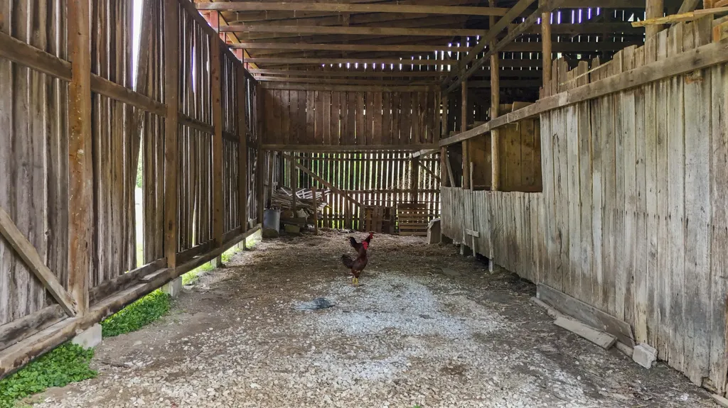 4088 State Highway 437 West Liberty KY 41472