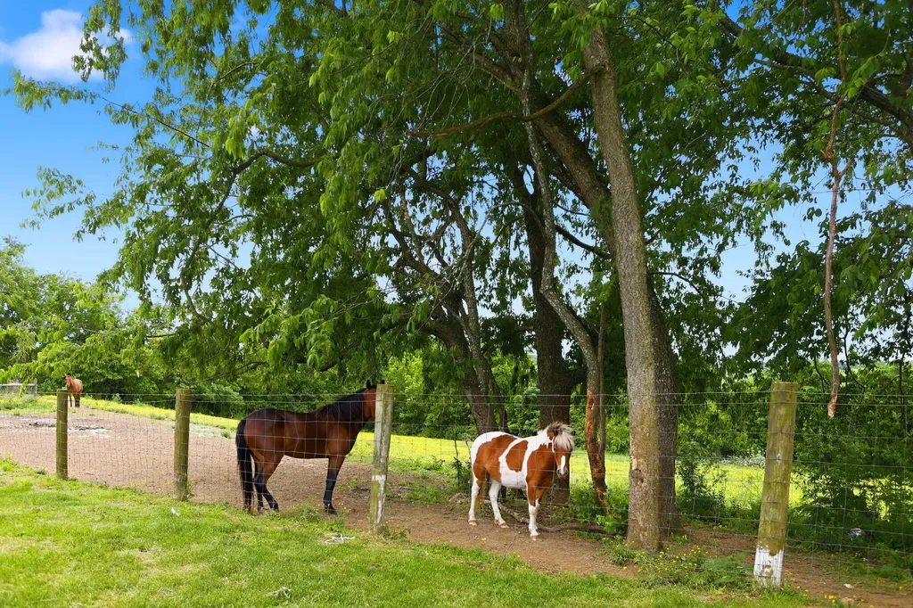 335 Jay Road Owingsville KY 40360
