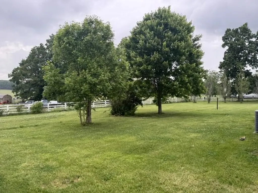 335 Beechburg Road Flemingsburg KY 41041