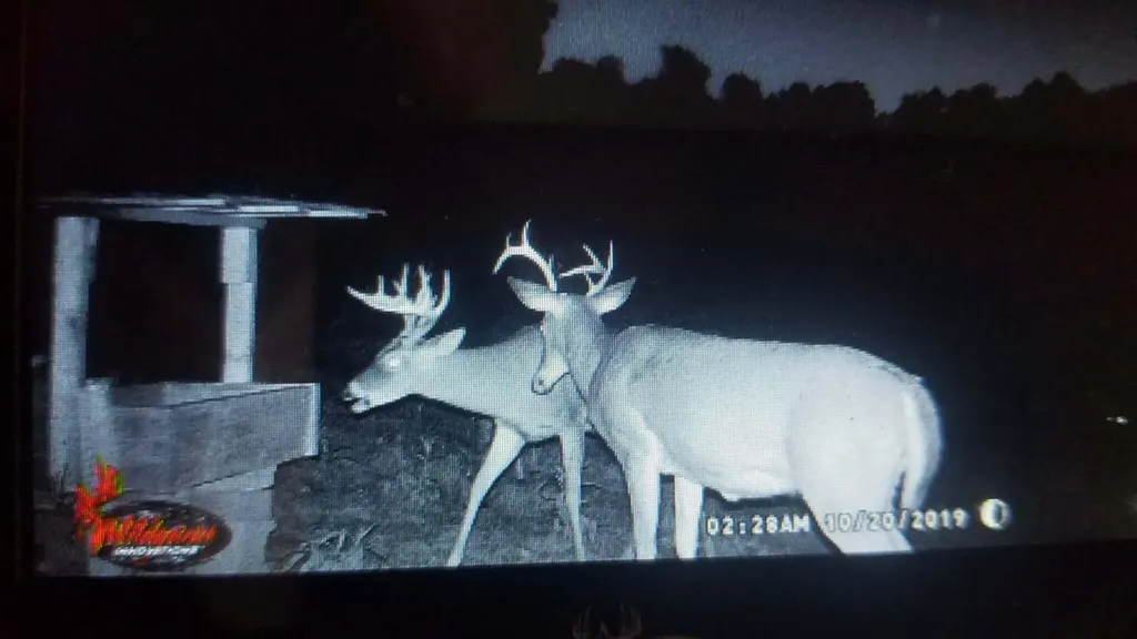 404 Lower Nickell Branch Road Hazel Green KY 41332