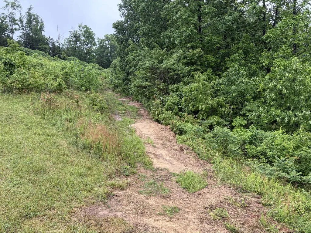 404 Lower Nickell Branch Road Hazel Green KY 41332