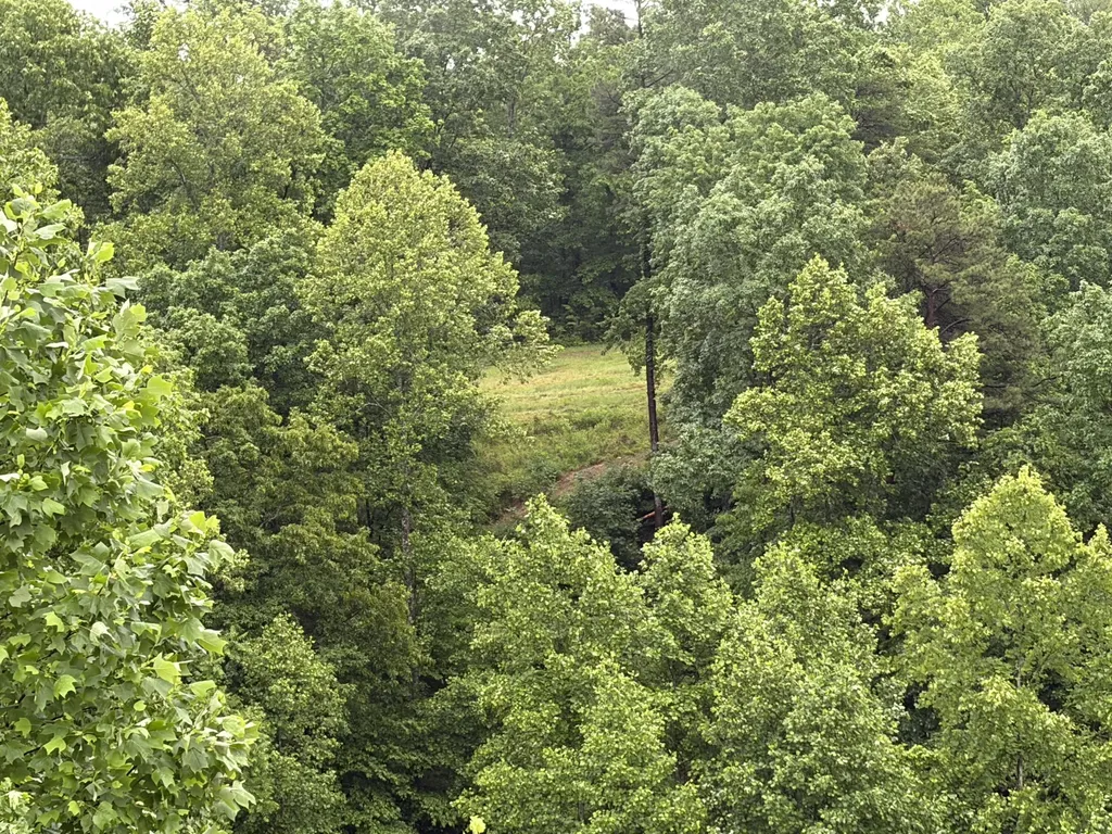 404 Lower Nickell Branch Road Hazel Green KY 41332