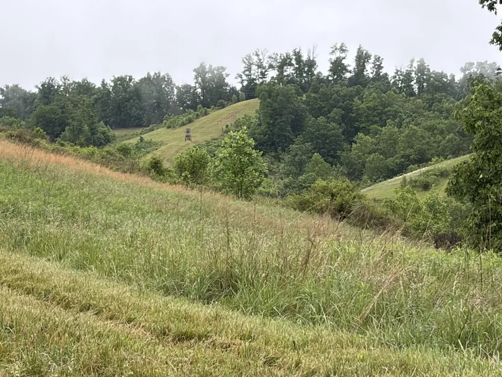 404 Lower Nickell Branch Road Hazel Green KY 41332