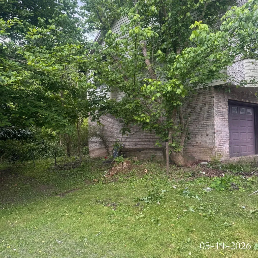 174 1st St Fox Harold KY 41635