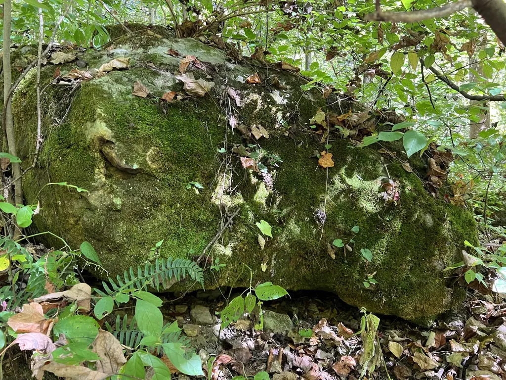 Lot 15 Red River Valley Slade KY 40376