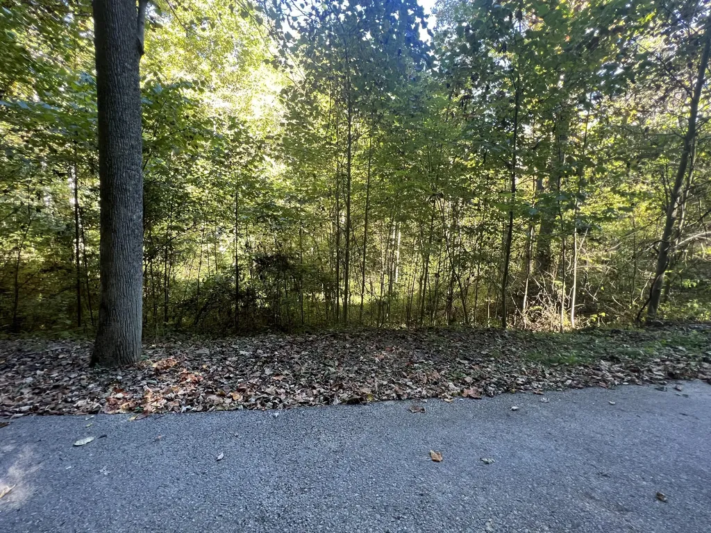 Lot 15 Red River Valley Slade KY 40376