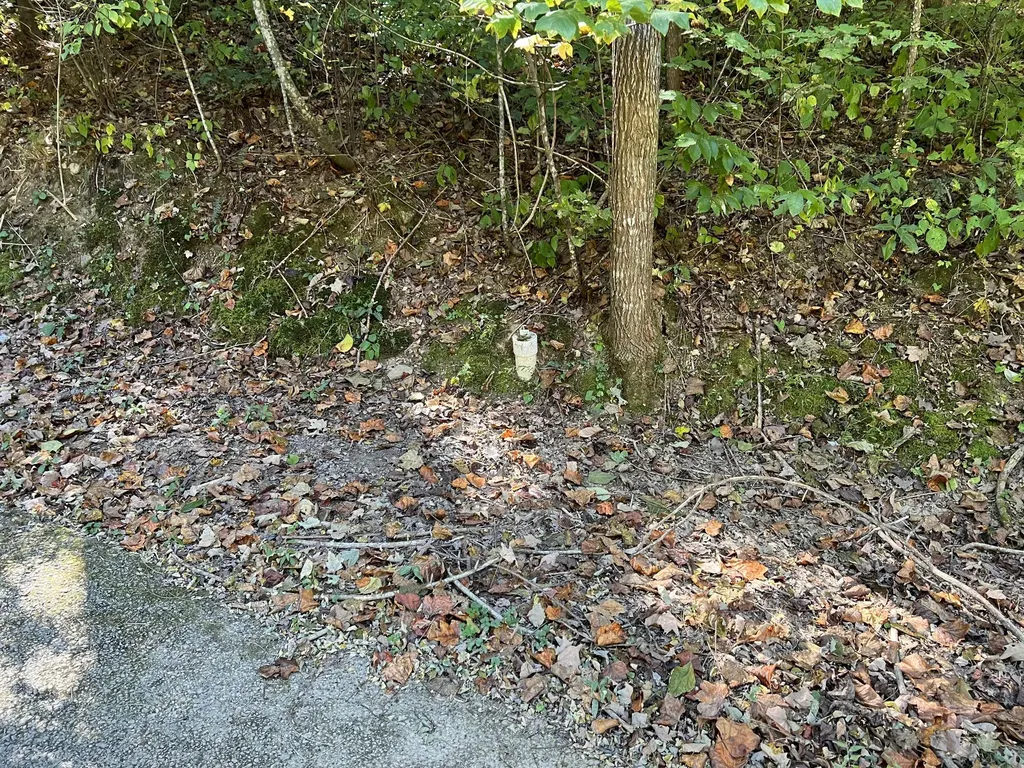 Lot 15 Red River Valley Slade KY 40376