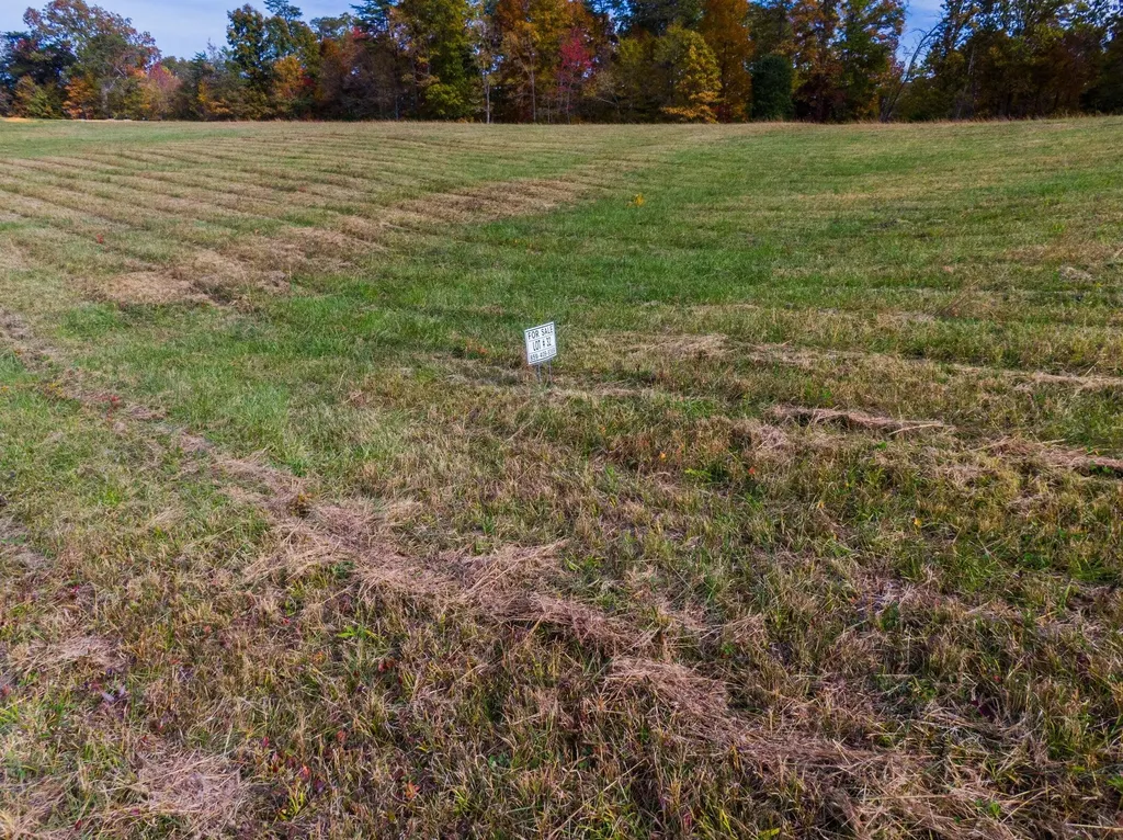 32 Spring Branch Hollow Road Nancy KY 42544