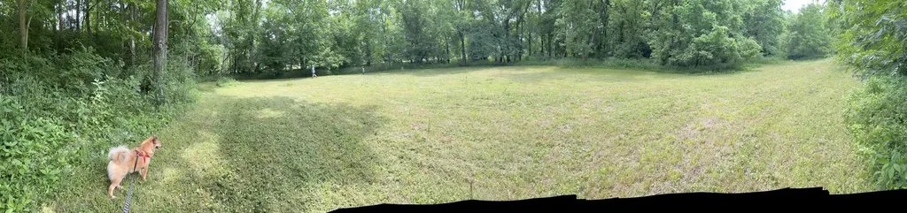 4390 Cincinnati Pike Georgetown KY 40324