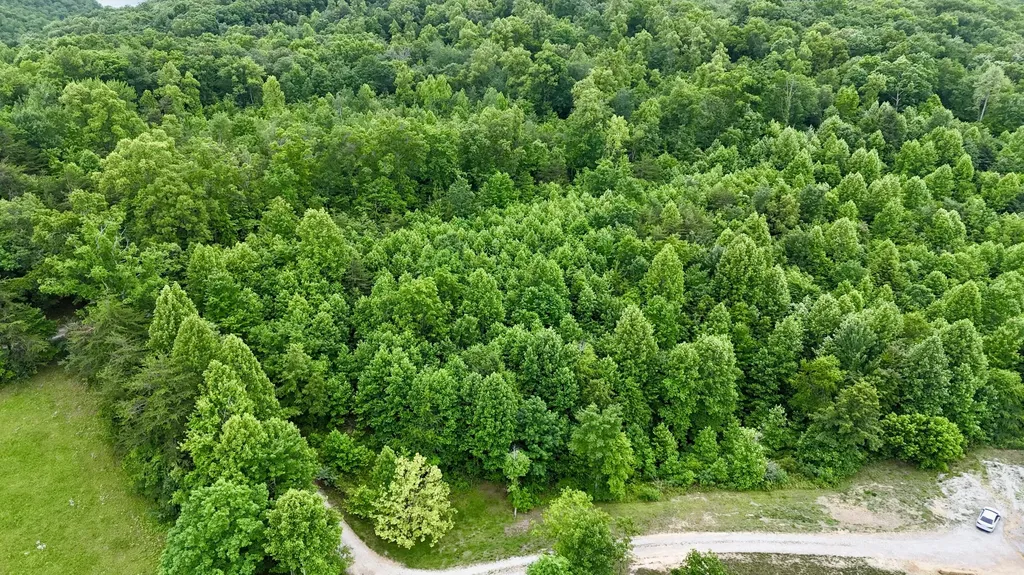 9990 Auger Springs Road Corbin KY 40701