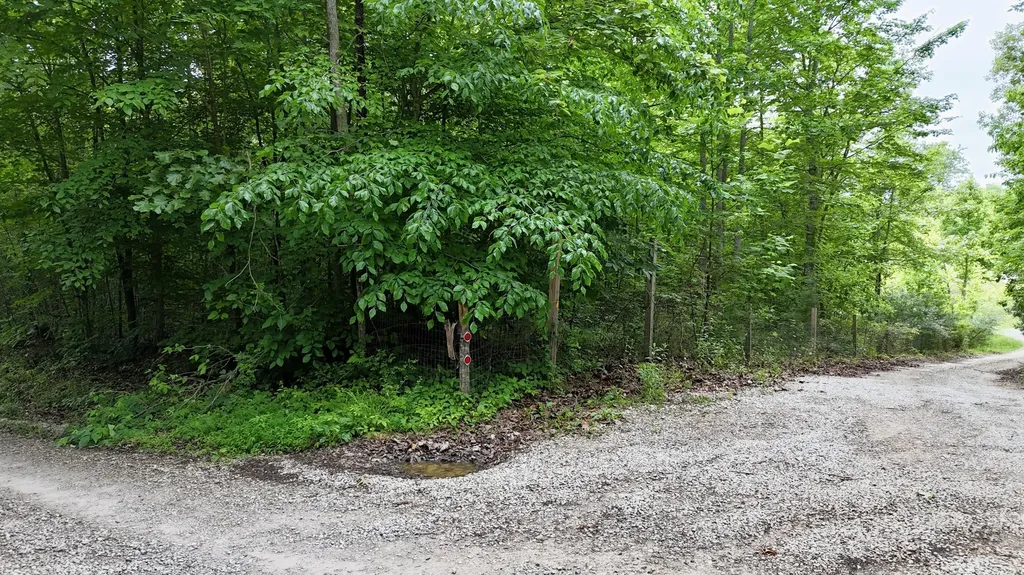 9990 Auger Springs Road Corbin KY 40701