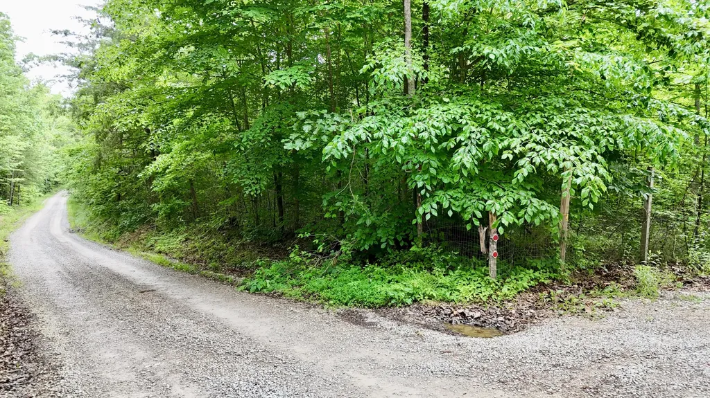 9990 Auger Springs Road Corbin KY 40701