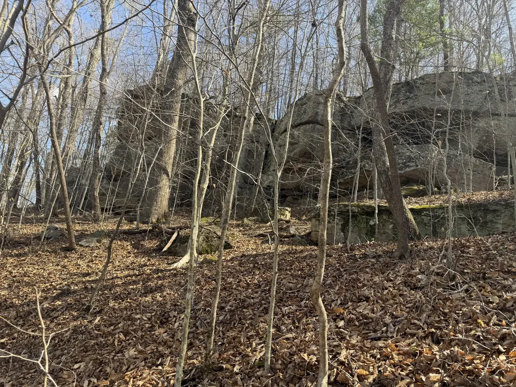 0000 Morris Cemetery Road Hyden KY 41749
