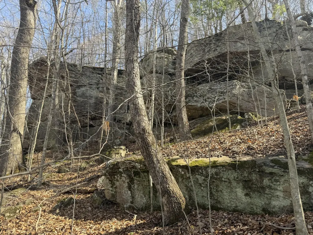 0000 Morris Cemetery Road Hyden KY 41749