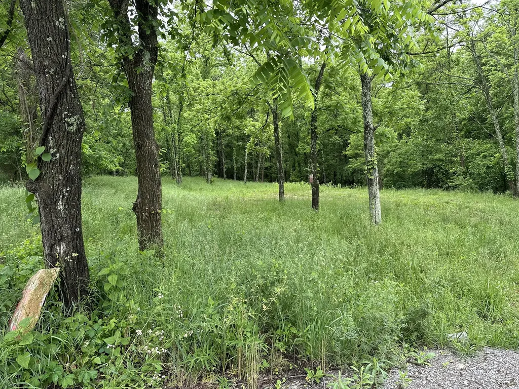 3130 Cincinnati Pike Georgetown KY 40324