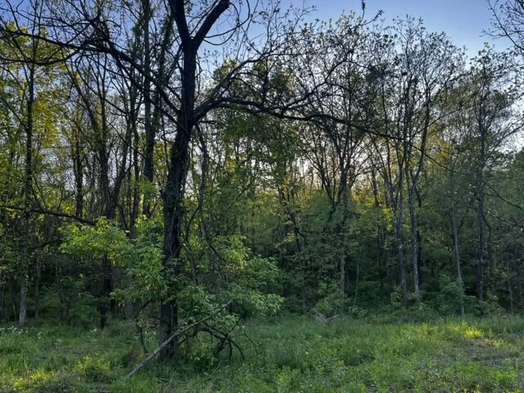 3130 Cincinnati Pike Georgetown KY 40324