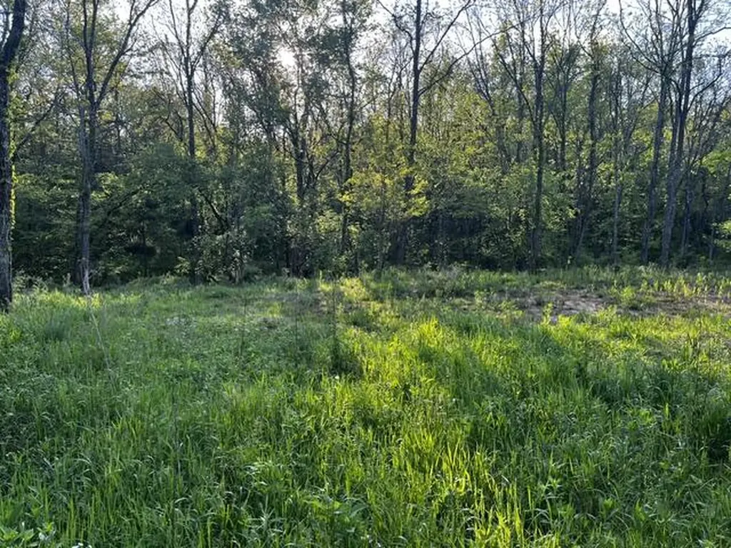 3130 Cincinnati Pike Georgetown KY 40324