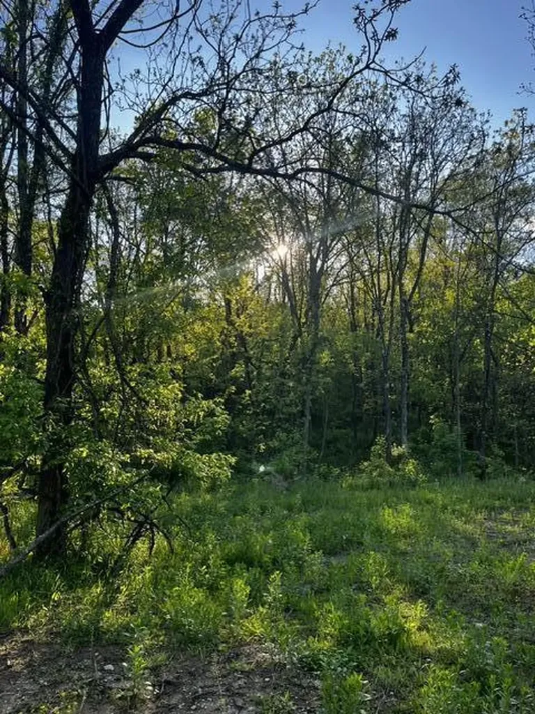 3130 Cincinnati Pike Georgetown KY 40324